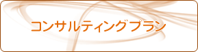 コンサルティングプラン