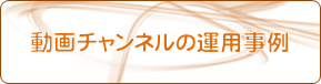 動画チャンネルの運用事例